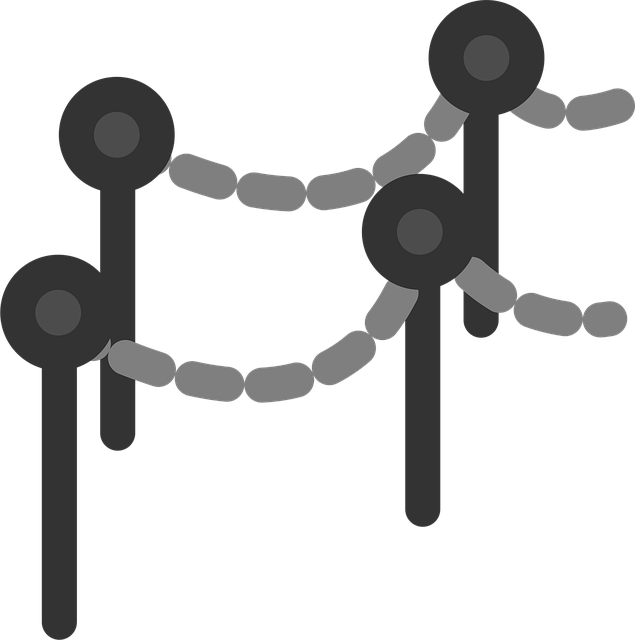 Free link chain network vector