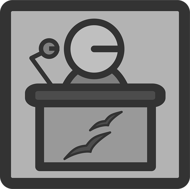 Spreker, Presentator, Professioneel