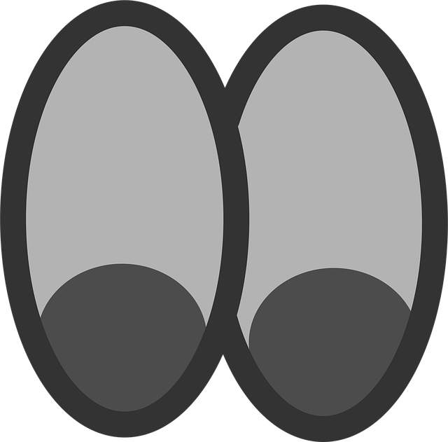 Free eyeballs eyes vision vector