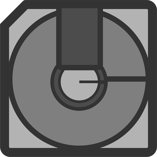Free disc inside disc holder data backup vector