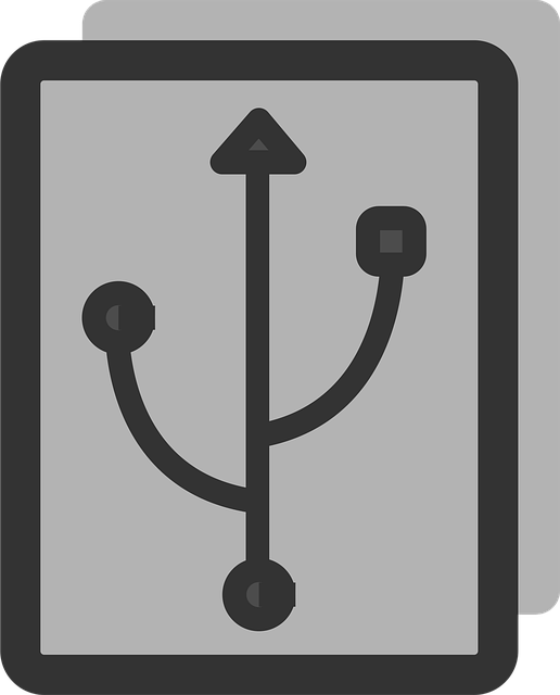Free usb flash drive technology vector