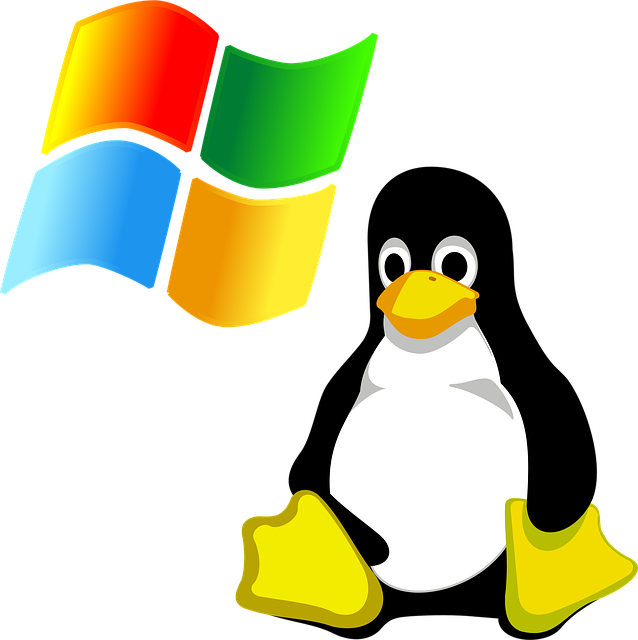 Fenster, Pinguin, Aktion, Unterzeichnen