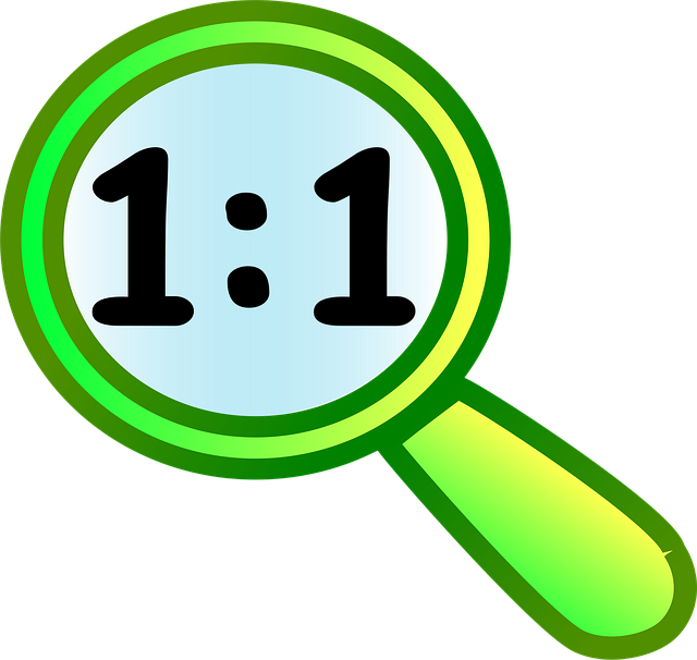 Free lens 1 1 action illustration