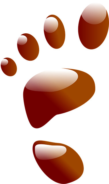 Free footprint print red vector