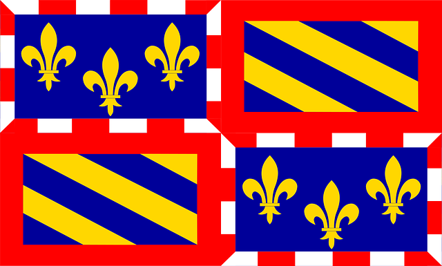 Free burgundy flag region vector
