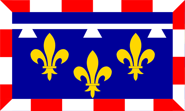 Free fleur de lis fleur-de-lis flag illustration