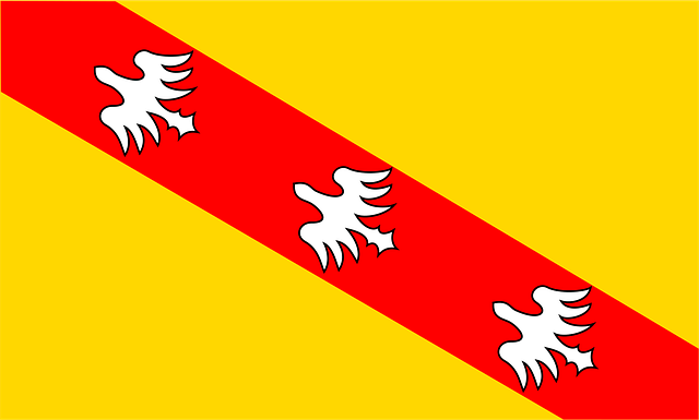 Free flag lorraine france illustration