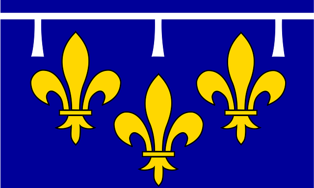 Free ile-de-france flag paris region vector