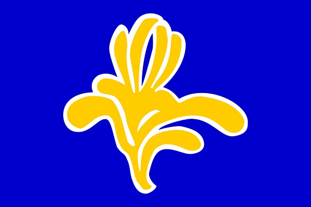 Free brussels flag capital illustration