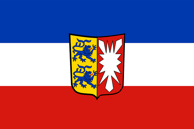 Free flag schleswig-holstein variant vector