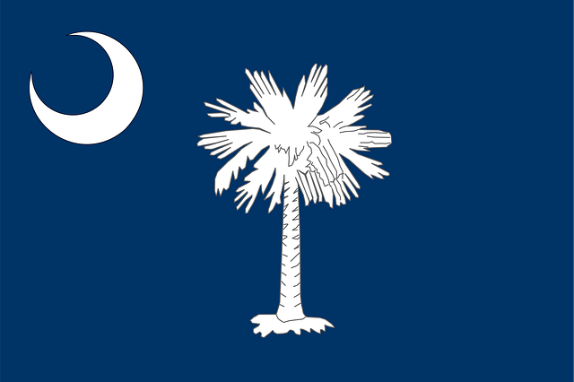 Flag, Syd Carolina, Stat, Palme Træ