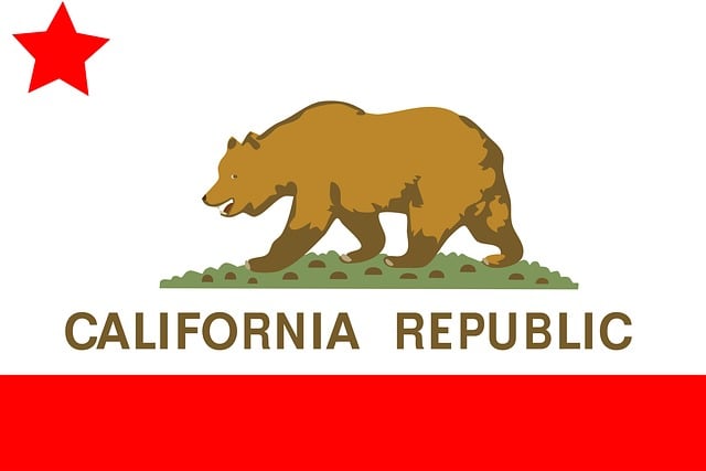Free flag california state vector