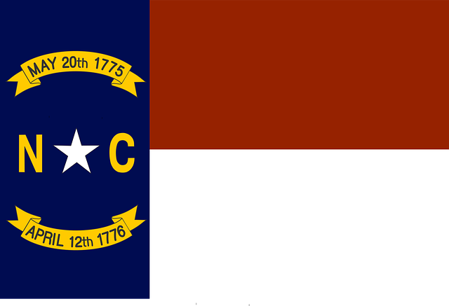 Free flag state north carolina vector