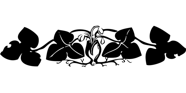 Free border floral flowers illustration