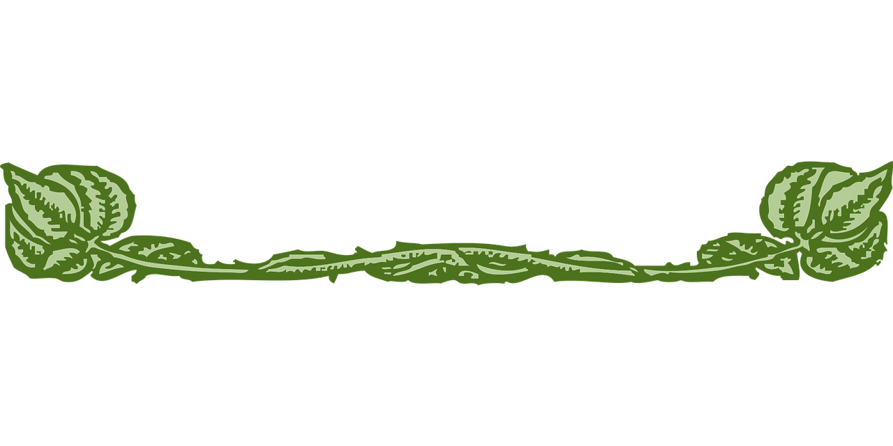 Download Plant, Decoration, Border. Royalty-Free Vector Graphic - Pixabay
