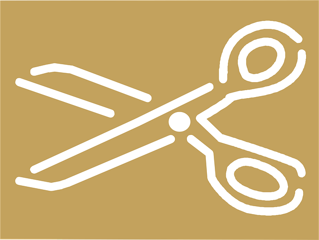 200 多张免费的“Scissors”和“剪刀”矢量图 - Pixabay