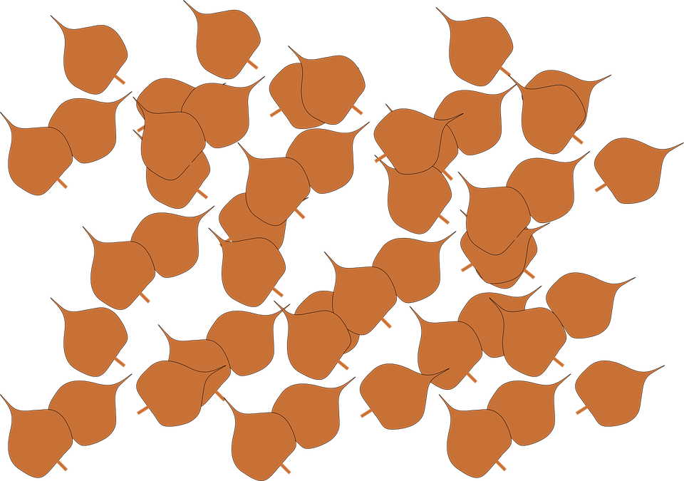 Fall Leaf Bitmap Autumn Fall Leaves - Free vector graphic on Pixabay