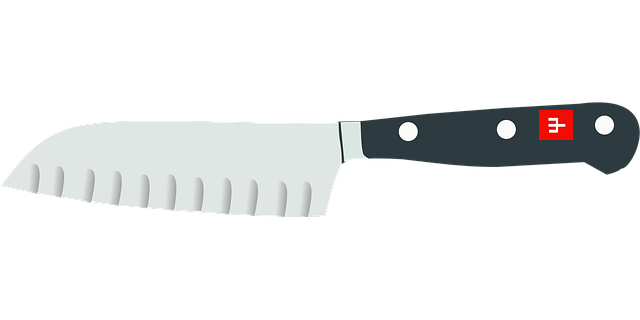 Free knife kitchen cut vector