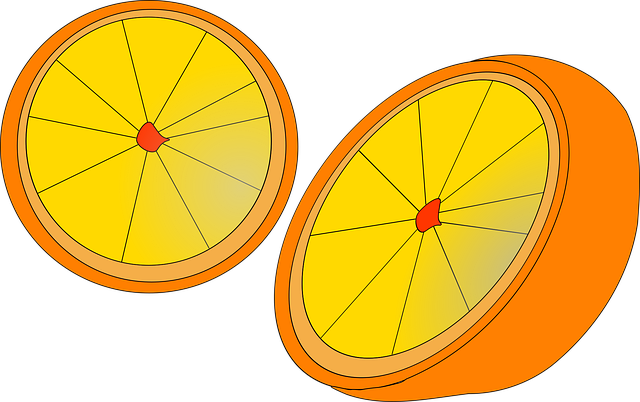 Free orange fruit plant vector