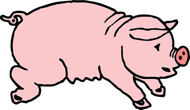 Schwein, Tier, Säugetier, Sau