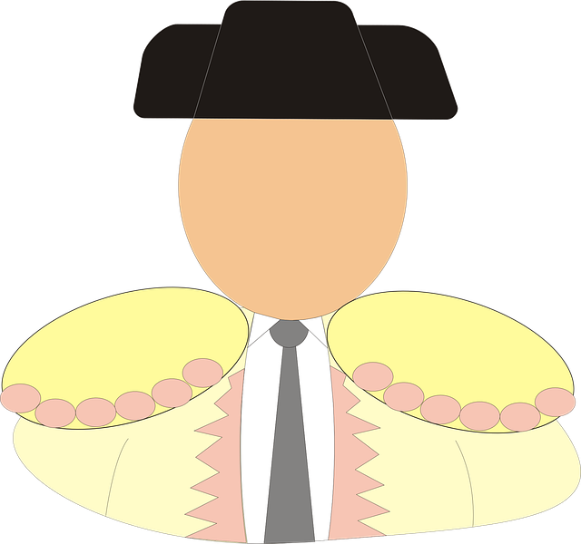 Free matador bullfighter man vector