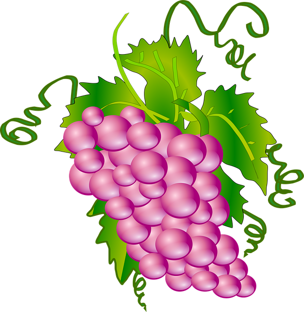 Uvas, Monte, Agrupar, Filiais, Videira