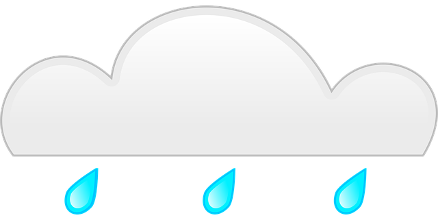Free rain cloud gray vector