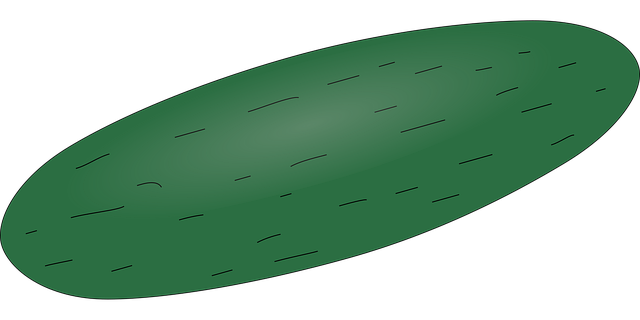 Free cucumber vegetable melon vector