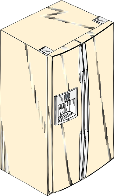 Free refrigerator appliance freezer vector