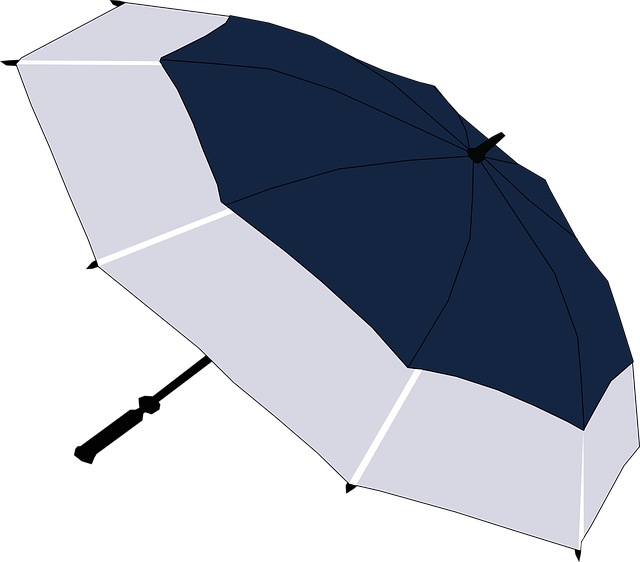 Free umbrella nature rain illustration