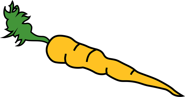 Free carrot vegetable food vector