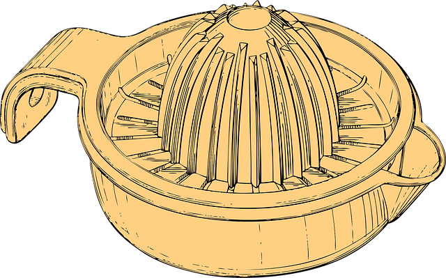 Free juicer manual hand vector
