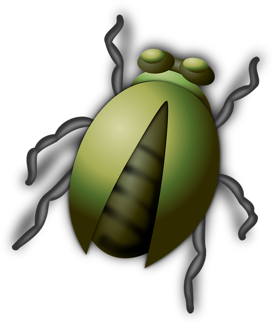 Free beetle insect bug vector