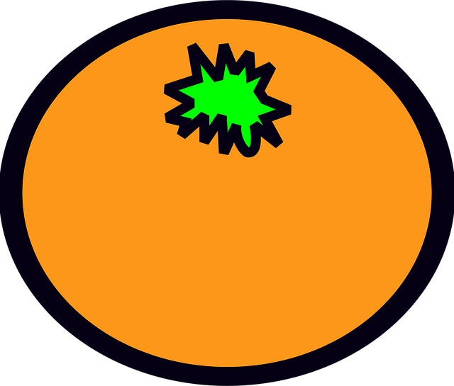 Free orange citrus fruit illustration