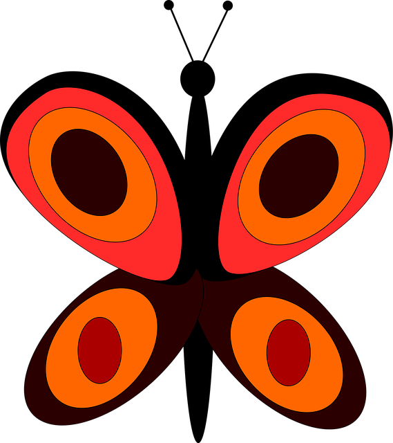 Free butterfly orange insect illustration
