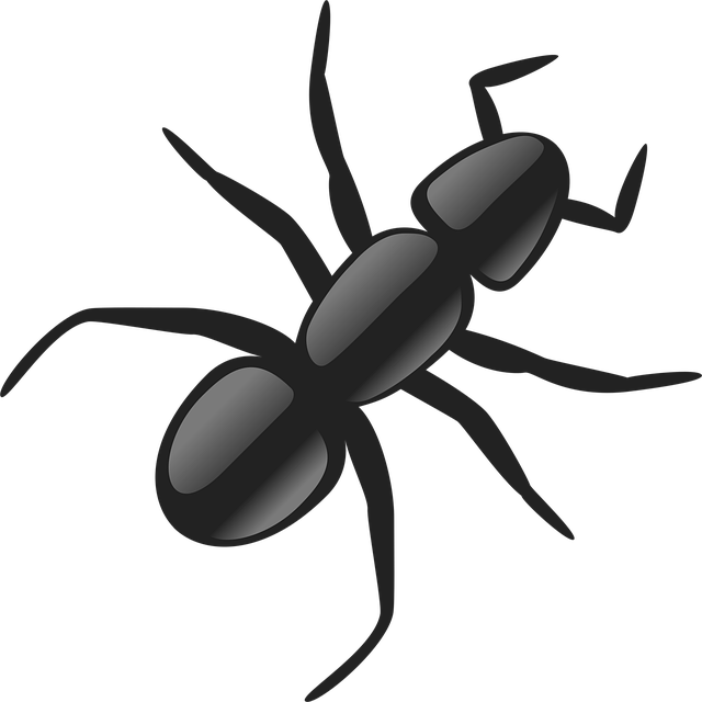 Free ant insect segmented vector
