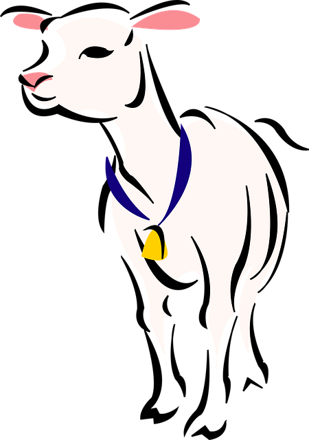 Free lamb sheep farm vector