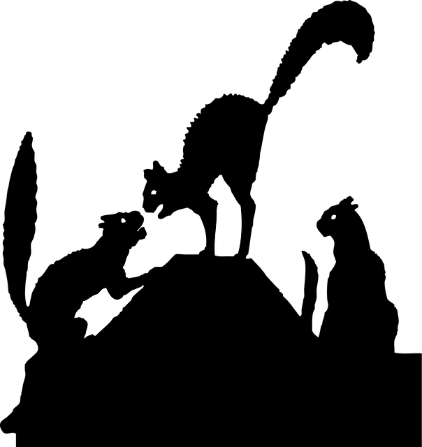 Free cats black fighting vector