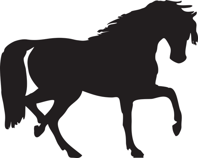 Free horse arabian stallion vector