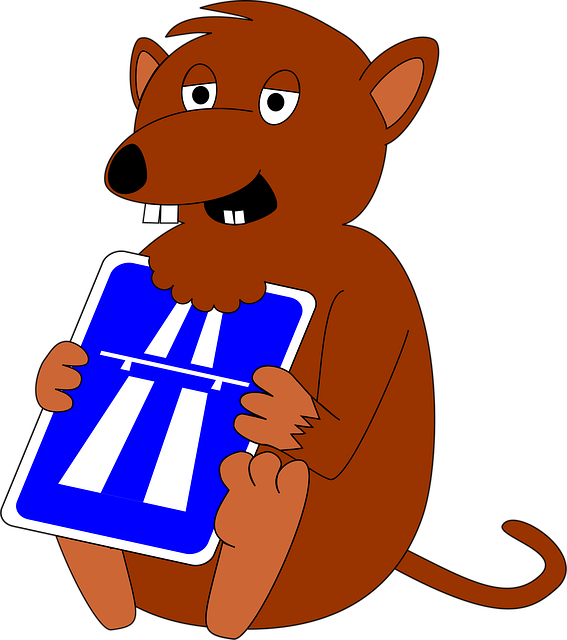 Free rat brown bite vector