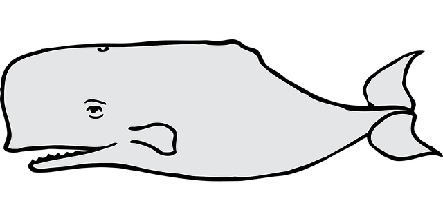 Free whale gray mammal vector