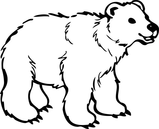 Free bear cub animal illustration
