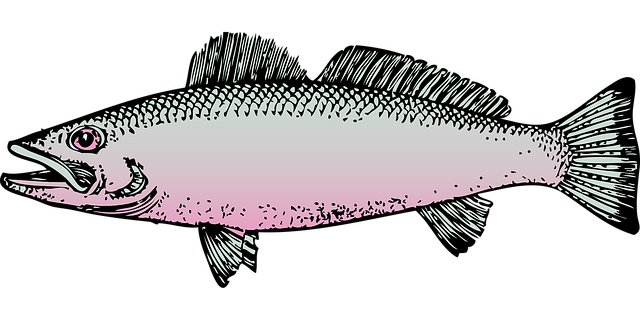 Free fish water ocean vector