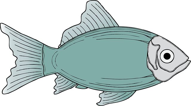 Free fish marine life nature vector