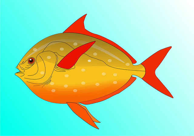 Free Fish Water vector and picture