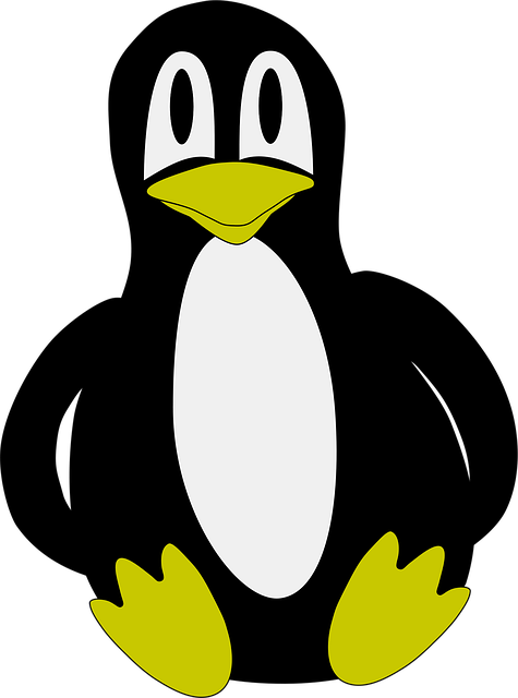 Free penguin flightless bird antarctic bird vector