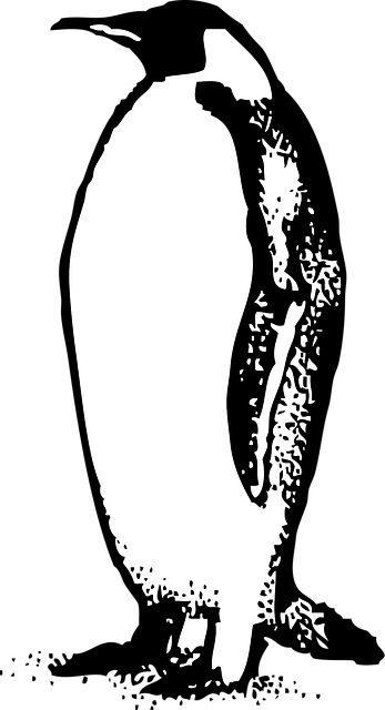 Free emperor penguin bird vector