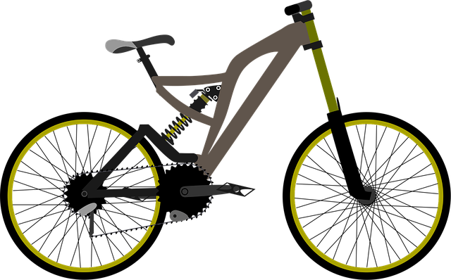Free bike mountain cycle vector