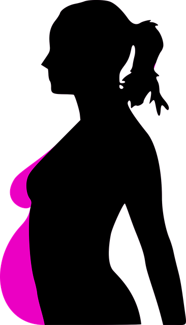 Free pregnancy woman profile vector