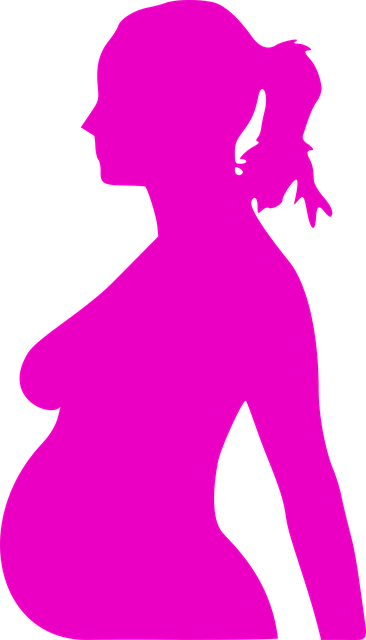 Free pregnant woman profile vector